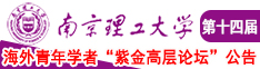 淫荡大鸡吧视频南京理工大学第十四届海外青年学者紫金论坛诚邀海内外英才！